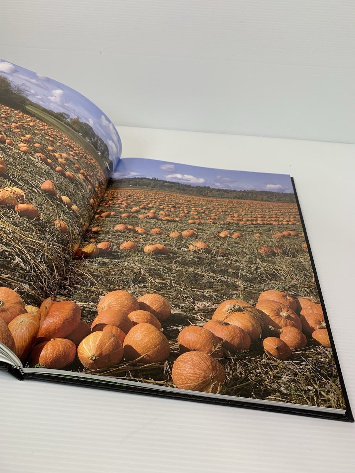 2003 OREGON III Book – Ray Atkeson – Ricahard Ross – Hardcover – Graphic Arts