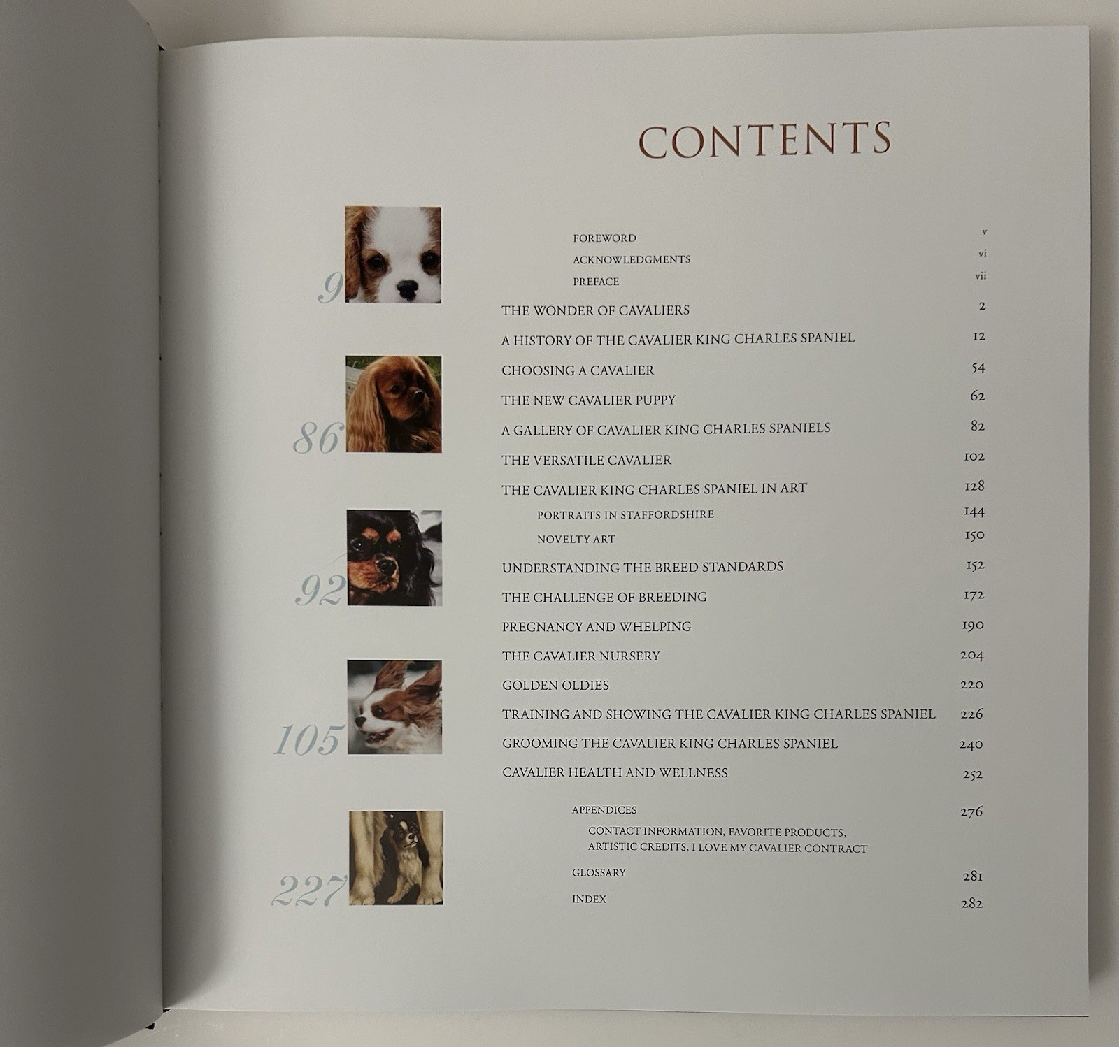 SIGNED Cavalier King Charles Spaniel by Garnett-Wilson (2007, Hardcover)
