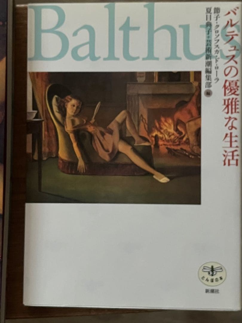 Balthus Exhibition Catalog & “Balthus’s Elegant Life” Art Books Set