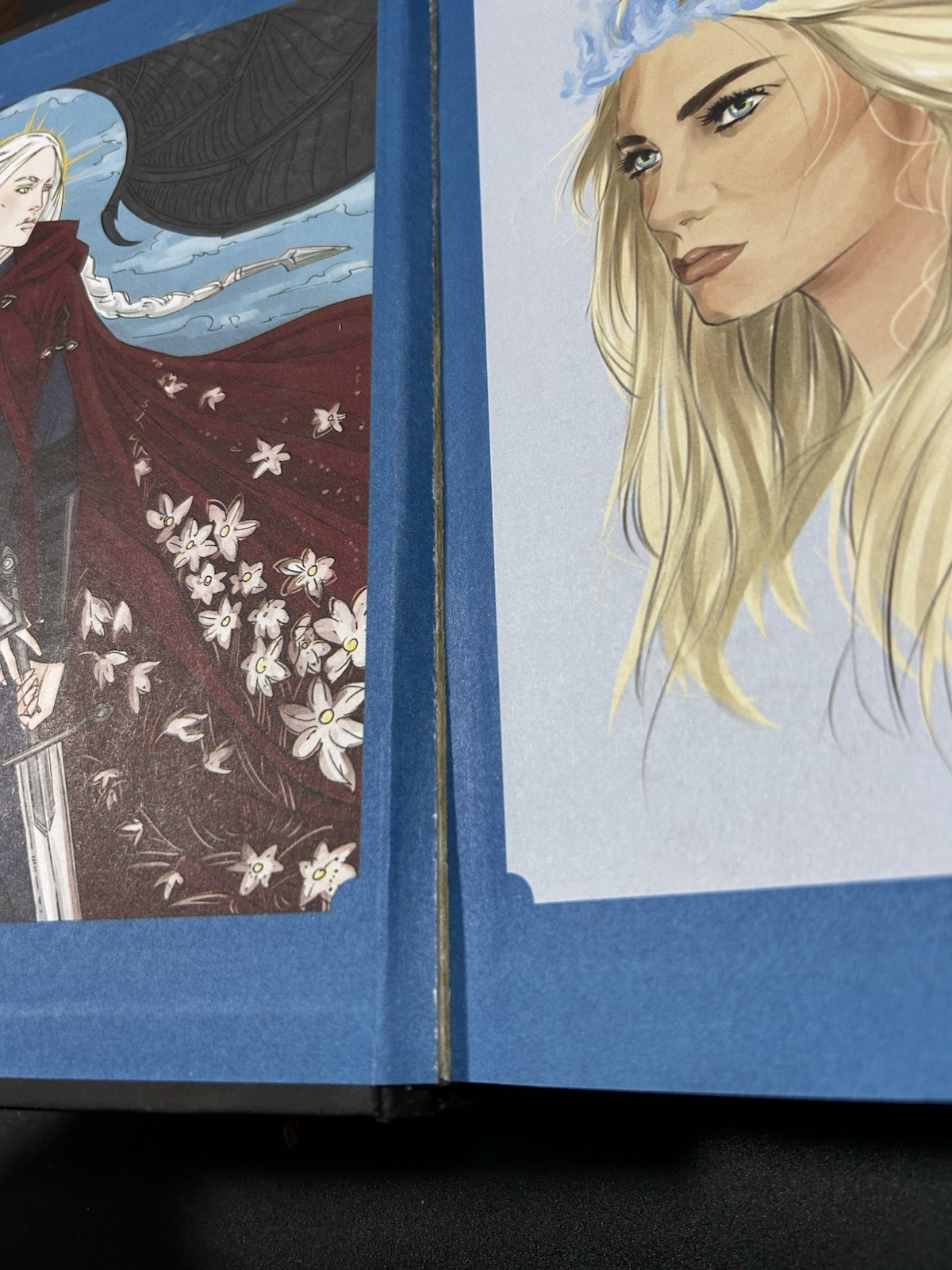 Miscellaneous Books By Sarah J Maas Original Hardcover Lot
