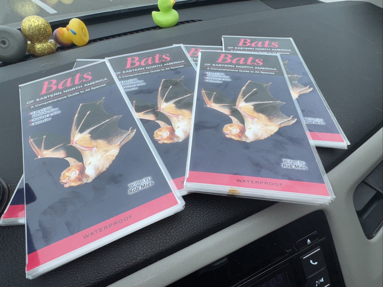 6 BOOK LOT: BATS OF EASTERN NORTH AMERICA: A GUIDE By Rob Mies *BRAND NEW*