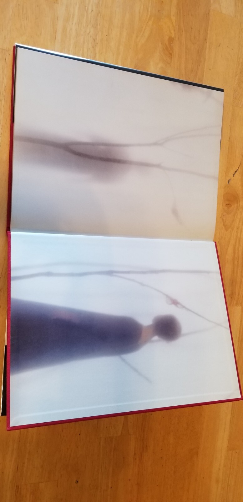 Robert & Shana ParkeHarrison COUNTERPOINT Hardback Twin Palms Publishers 2008
