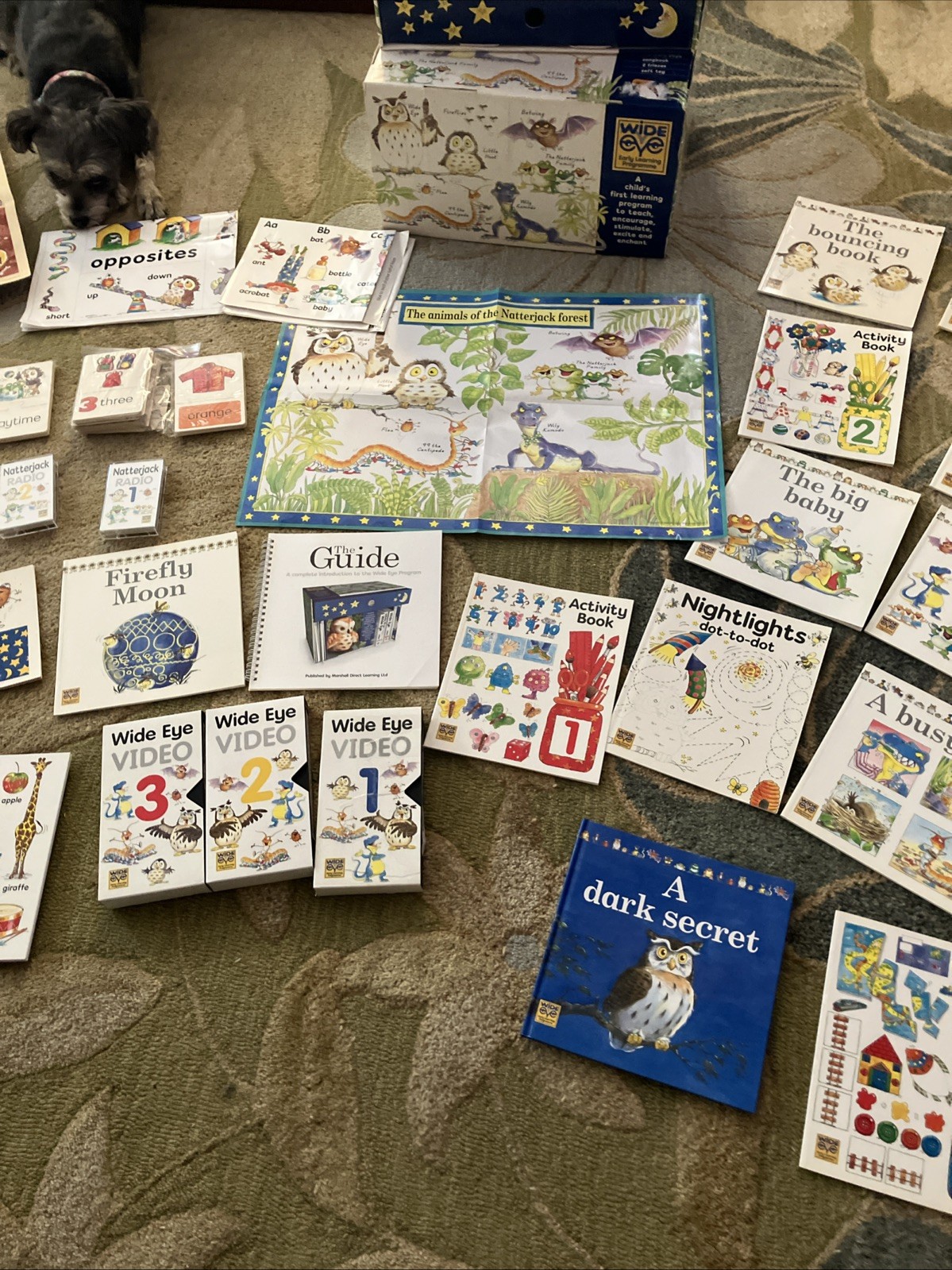 Wide Eyed Early Learning Program Kit for Toddlers Ages Books And Videos