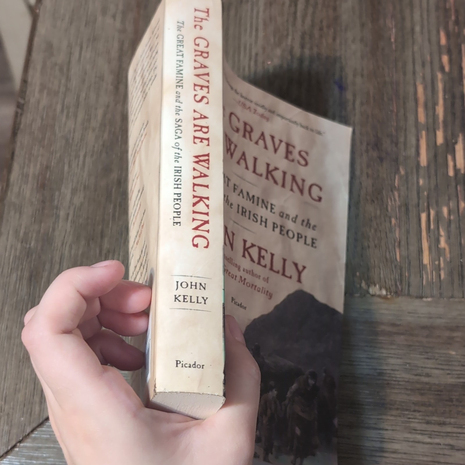 Picador The Graves Are Walking John Kelly Paperback Ireland History