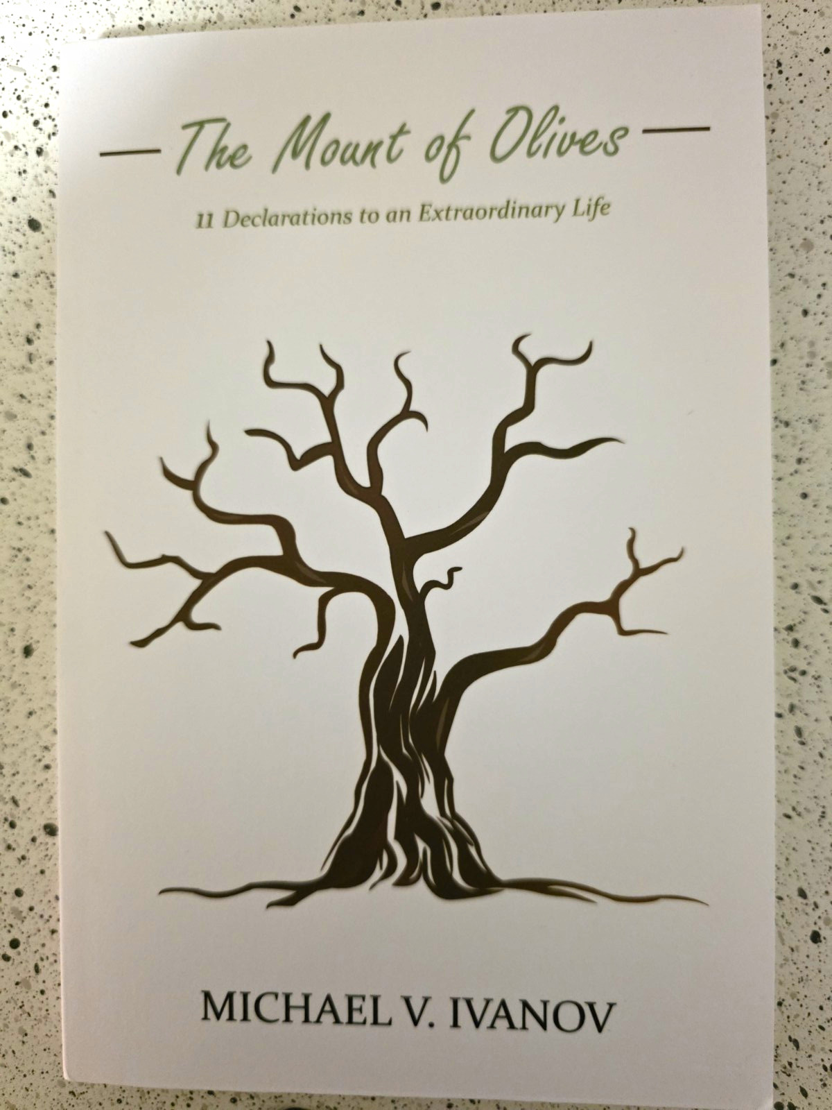 Michael V. Ivanov The Mount of Olives Paperback 2017