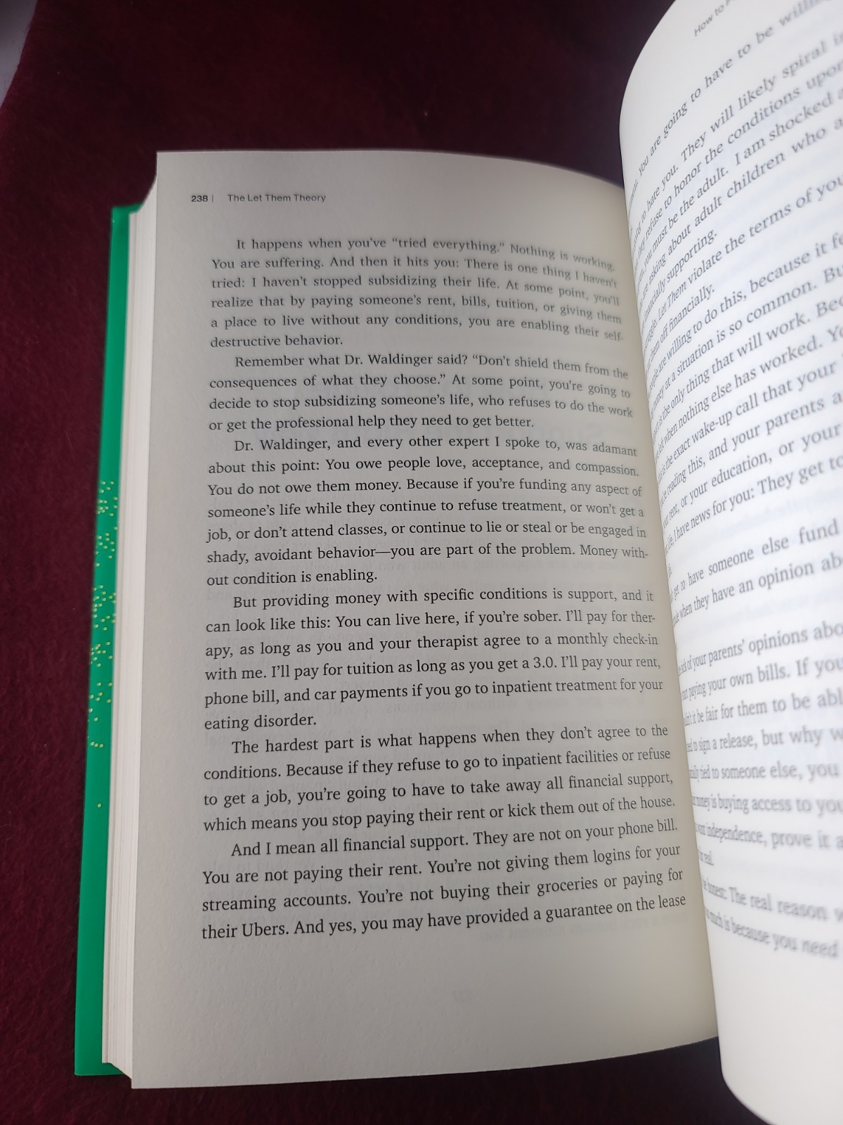 THE LET THEM THEORY Mel Robbins 1st Edition Hardcover Book Self Help Feel Great