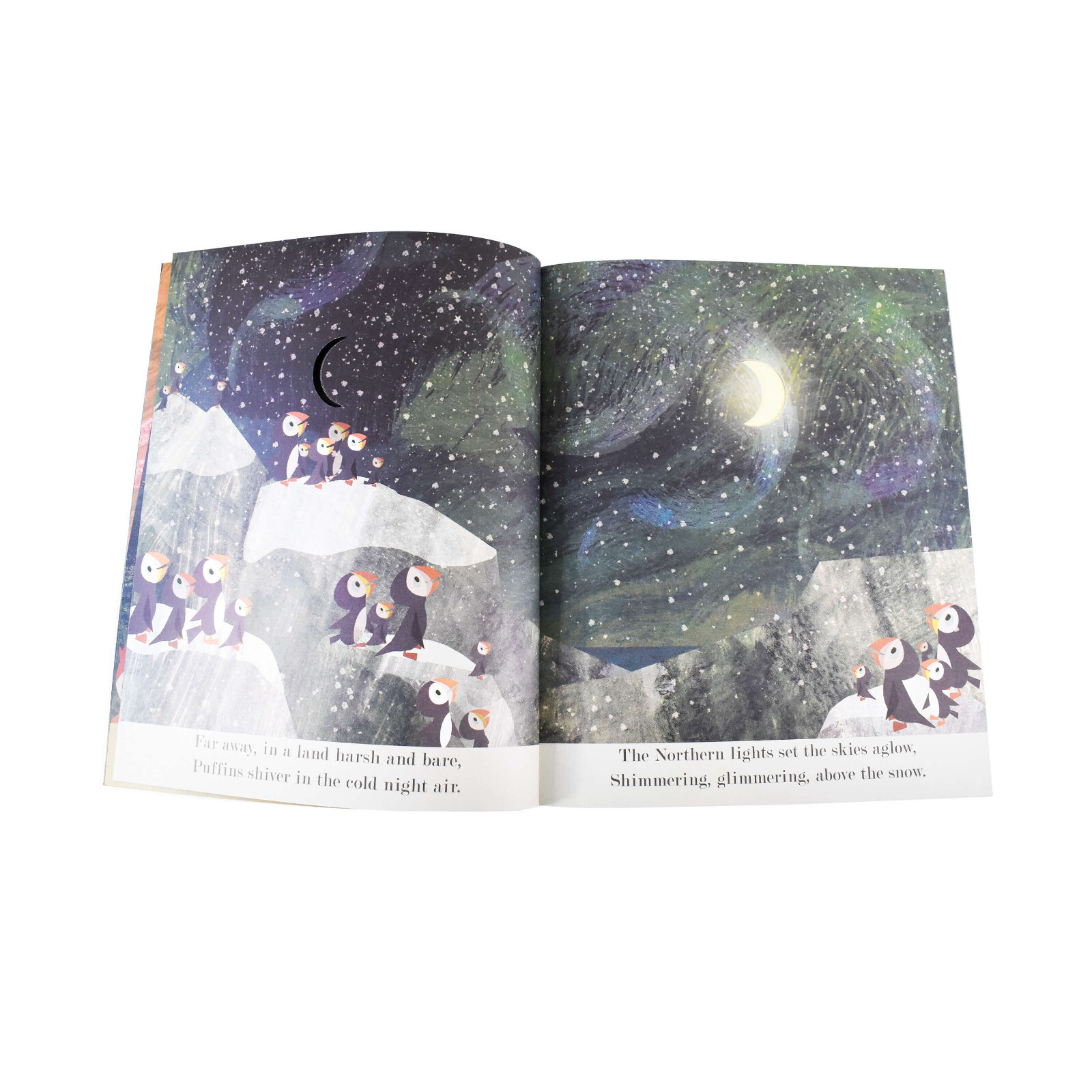 A Peek-Through Nature – 4 Picture Book Set By Britta Teckentrup – Ages 2-5 – PB
