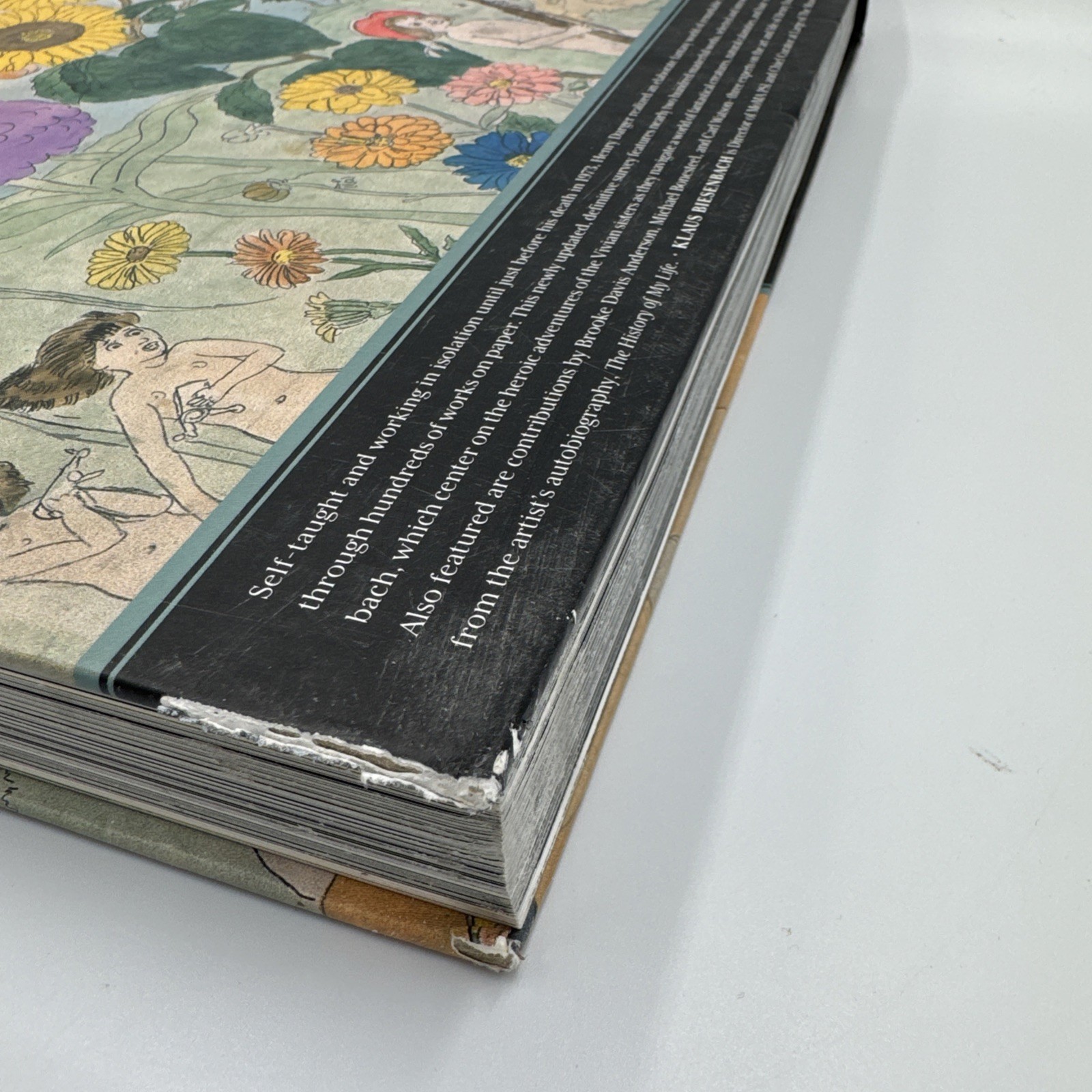 Henry Darger by Klaus Biesenbach (2014, Hardcover)
