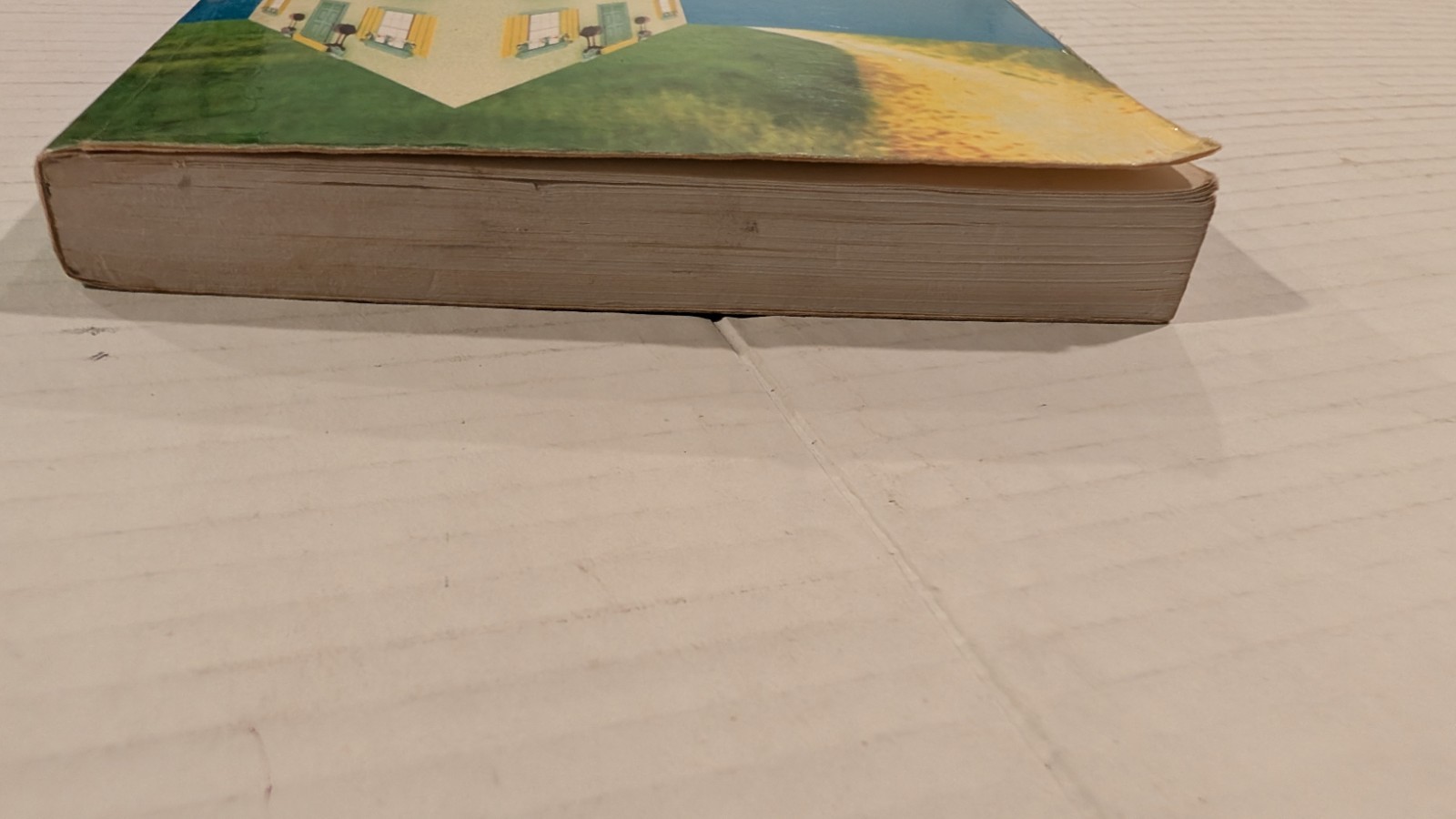 The Third Policeman Flann O’Brien SIGNED Denis Donoghue Introduction Paperback