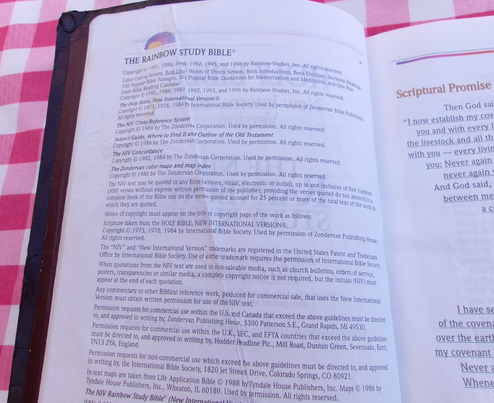 THE NIV RAINBOW STUDY BIBLE NEW INTERNATIONAL VERSION