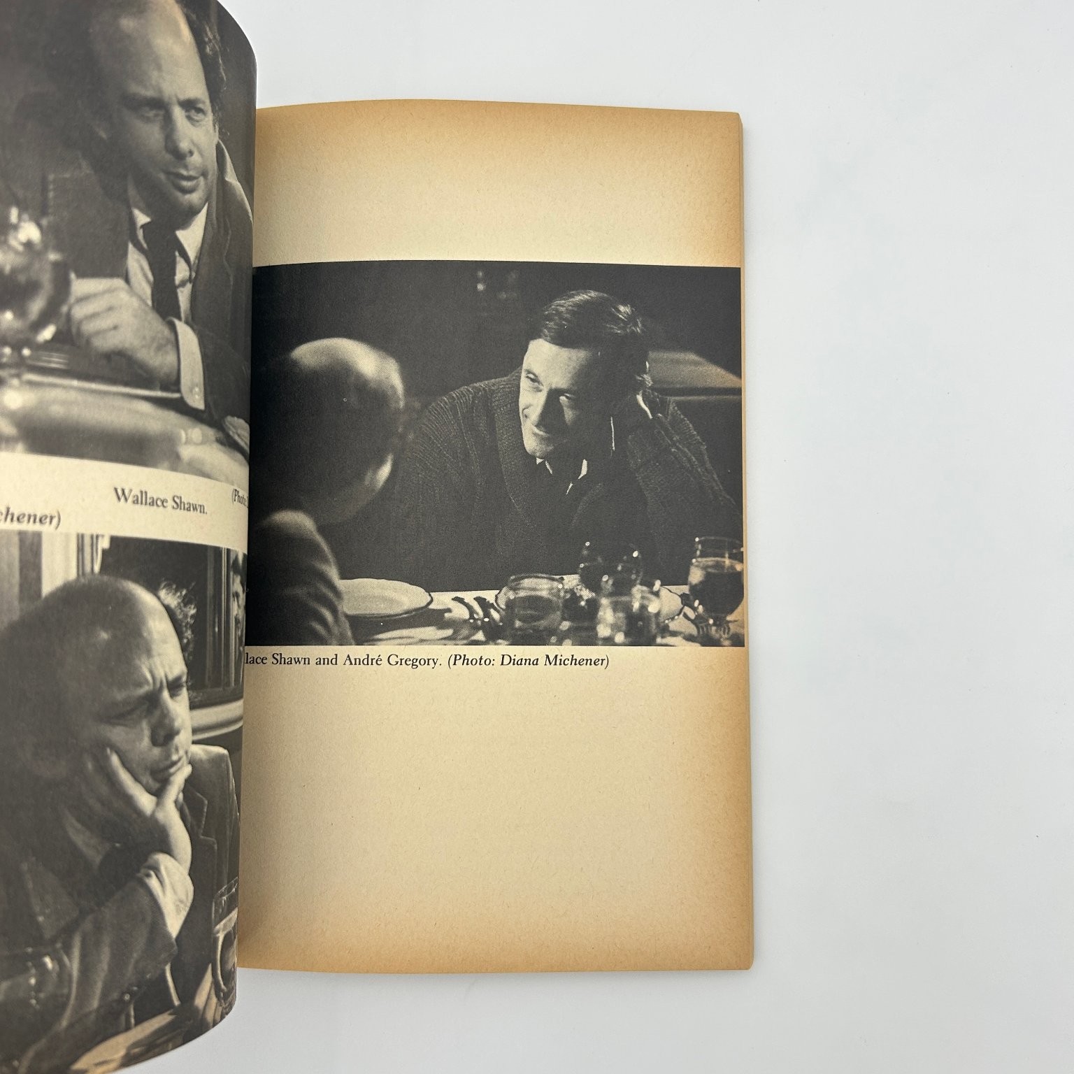 My Dinner with Andre Shawn Gregory 1981 First Evergreen Screenplay Grove Press