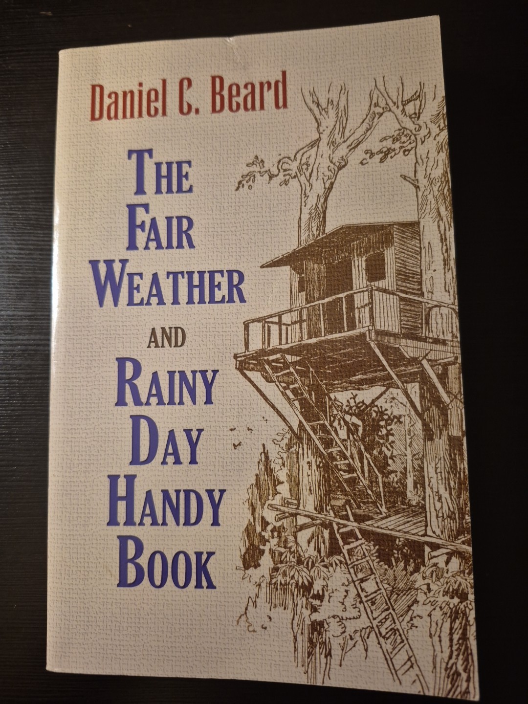 Fair Weather and Rainy Day Handy Book by Daniel C. Beard (2009, Trade Paperback)