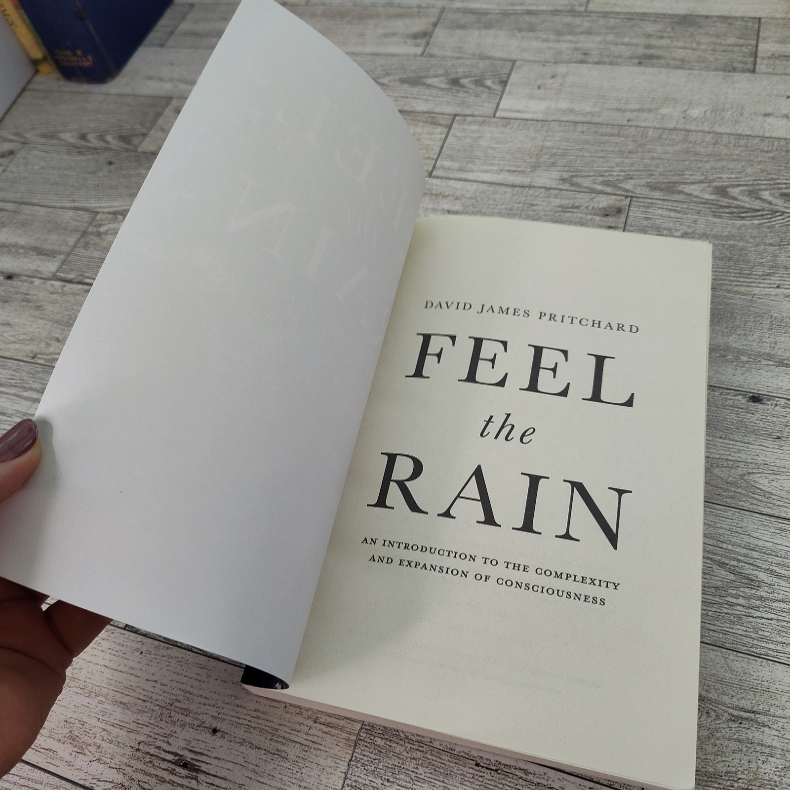 Feel the Rain David James Pritchard 2021 BookBaby Trade Paperback Consciousness