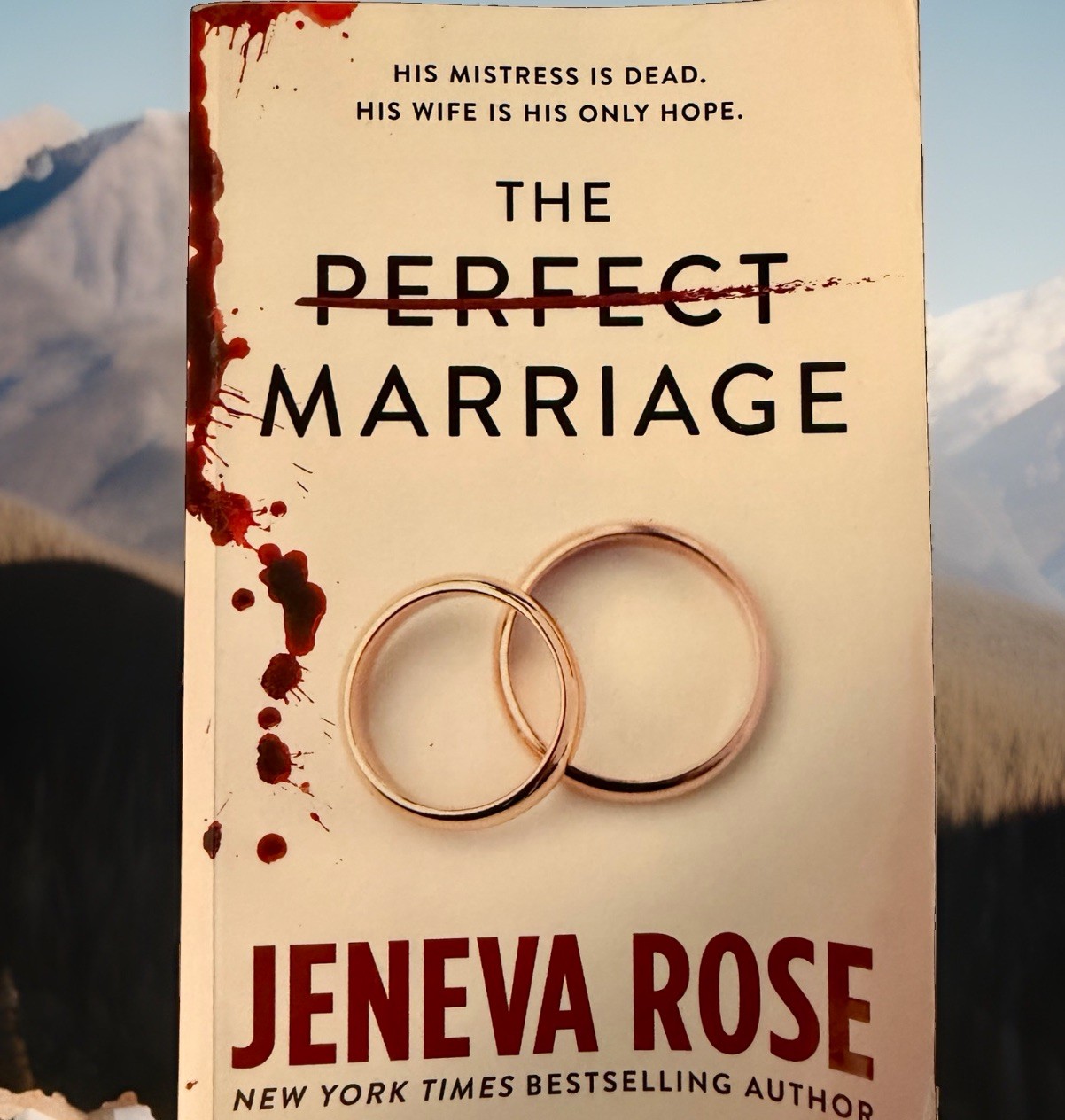 The Perfect Marriage, Trade Paperback by Jeneva Rose 2020