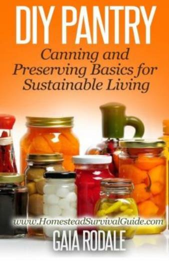 Diy Pantry: Canning And Preserving Basics For Sustainable Living