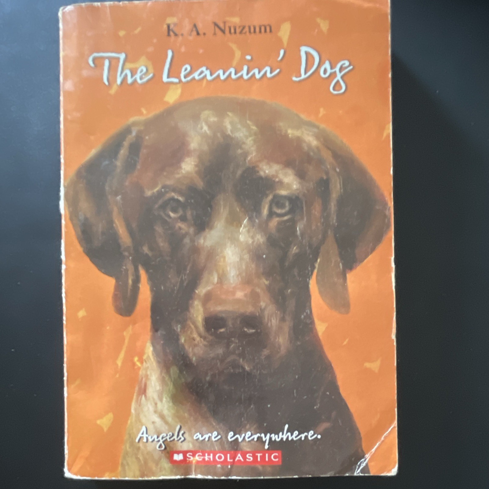 Scholastic The Leanin’ Dog K.A. Nuzum Paperback Illustrated Ages 9-12 2005