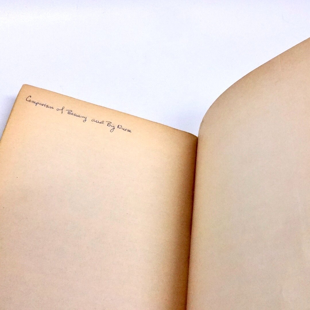 Naked Lunch William Burroughs 1966 1st Evergreen Black Cat Edition PB Vtg
