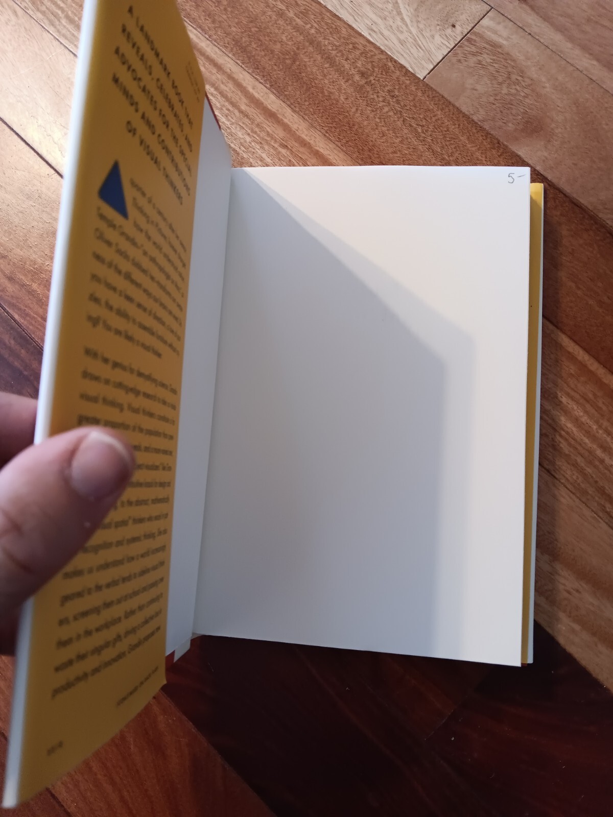 Visual Thinking : The Hidden Gifts of People By Temple Grandin NEW Paperbck 2022