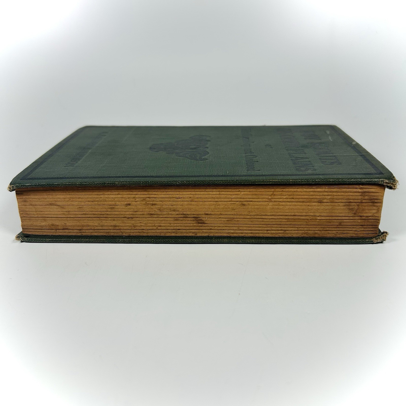 Boy Scouts On Open Plains The Round-up Not Ordered Book G. Harvey Ralphson 1914