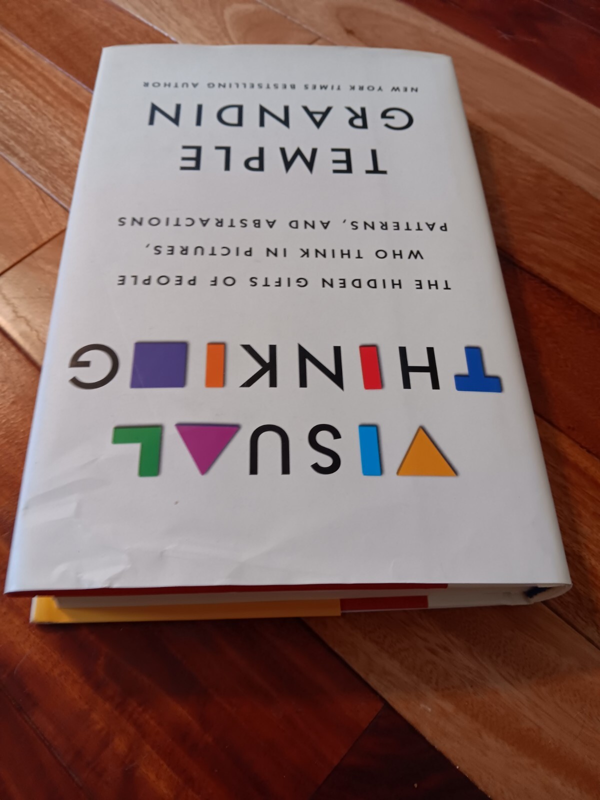 Visual Thinking : The Hidden Gifts of People By Temple Grandin NEW Paperbck 2022