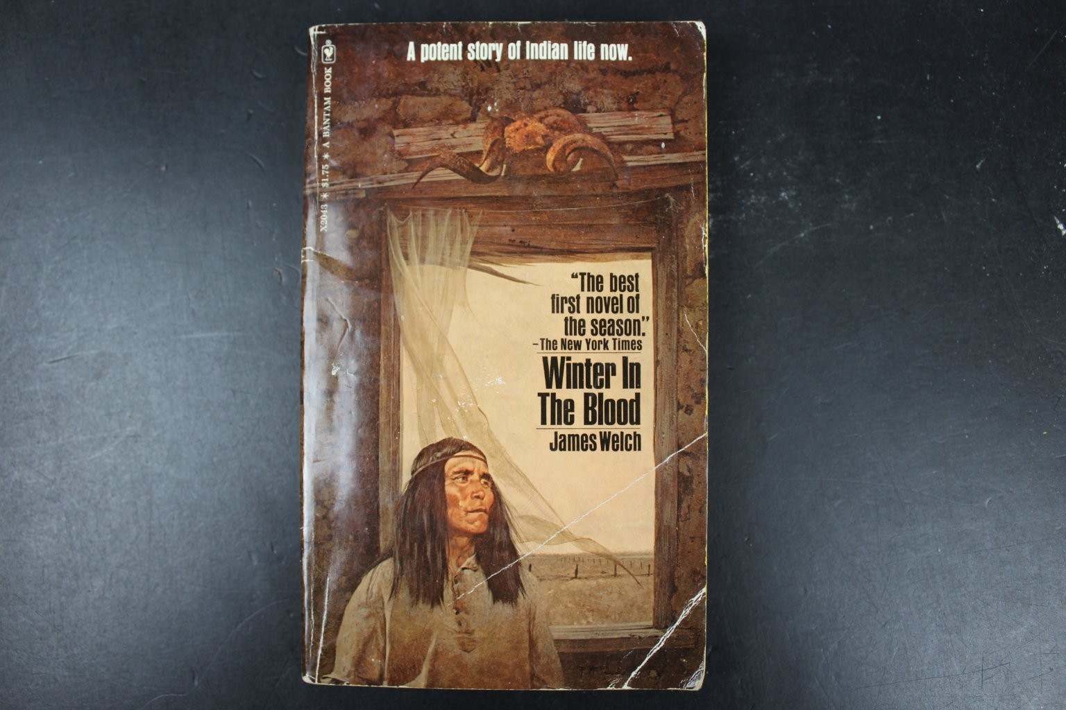 Winter In The Blood James Welch 1975 Bantam Book Native American Fiction PB