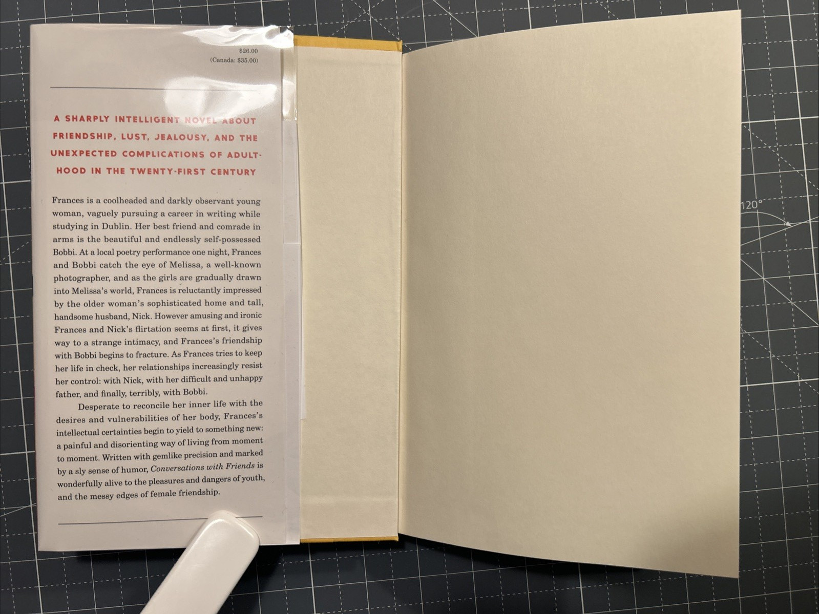 Conversations with Friends: debut Sally Rooney – Near Fine 1st edition 1st print