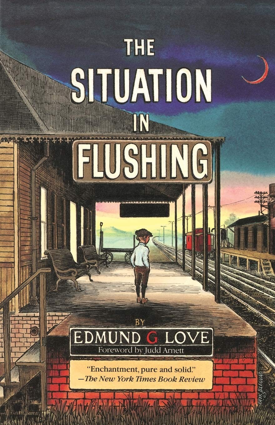 The Situation in Flushing (Great Lakes Books)