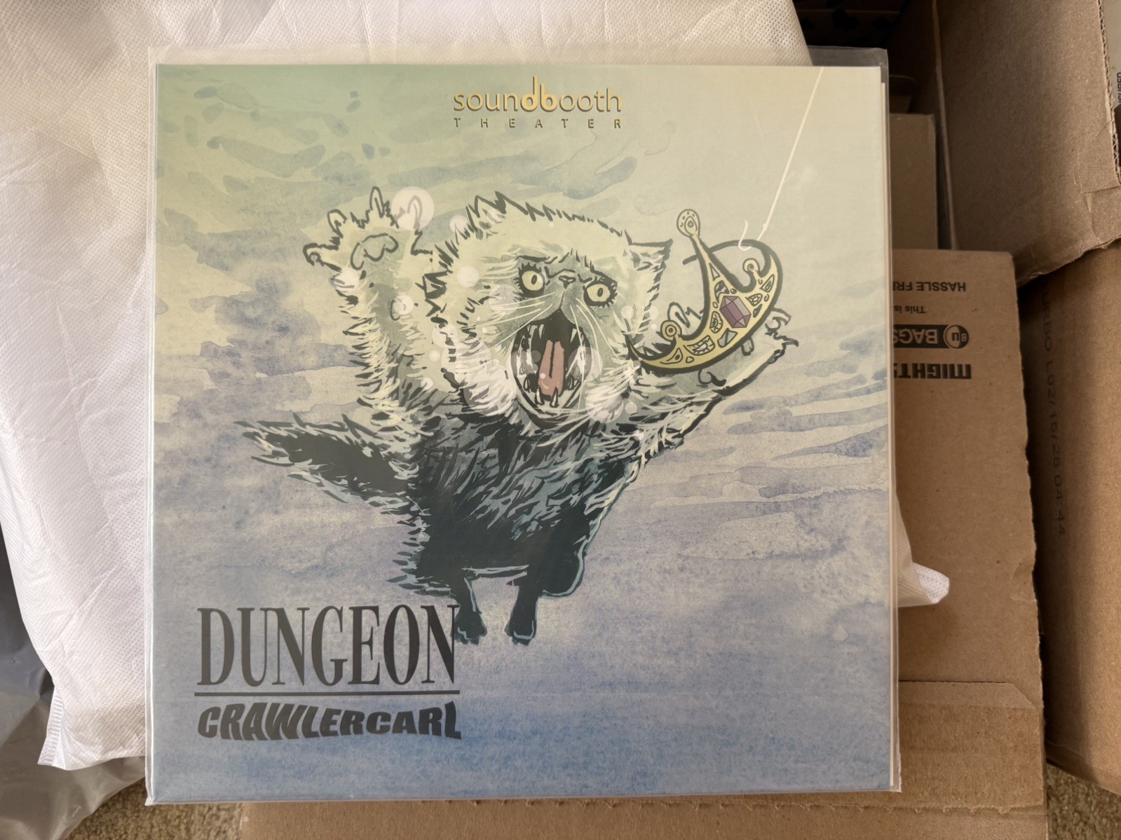 NYCC Vinyl RECORD signed books autographed dungeon crawler carl matt dinniman