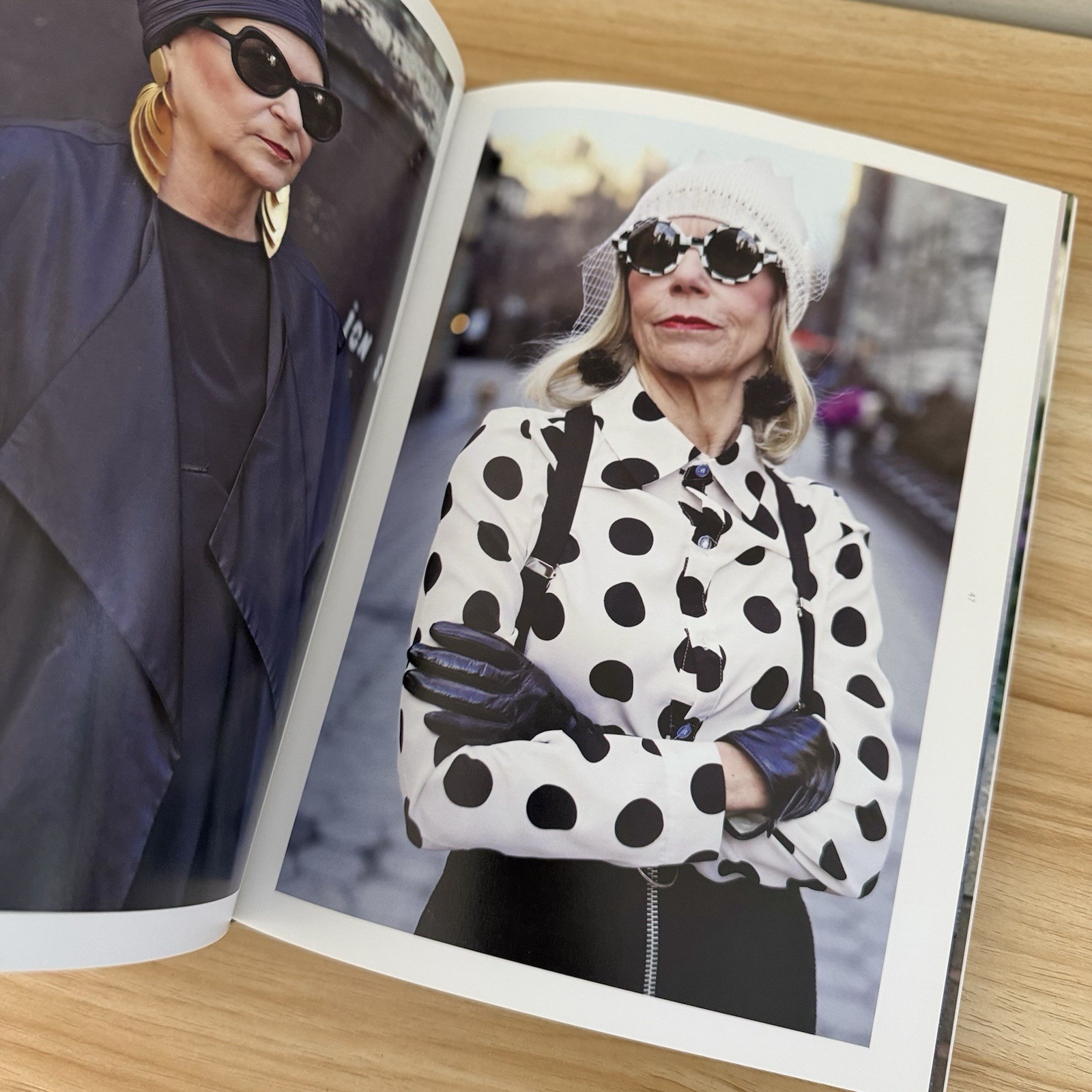 Advanced Style Older and Wiser Seth Cohen Hardcover Book 2016 1st Edition