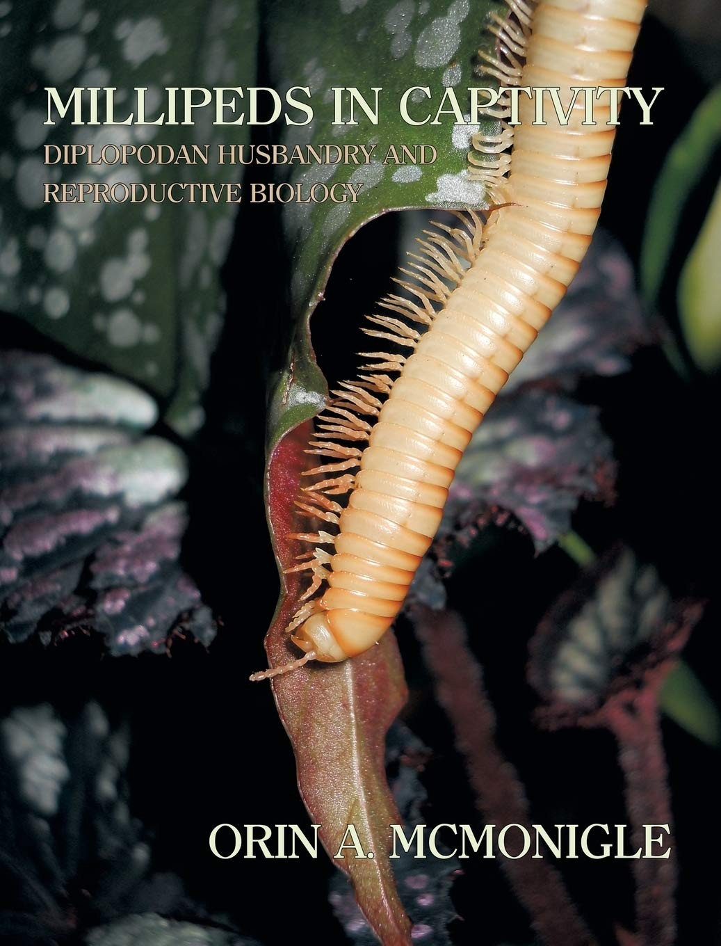 Millipeds in Captivity: Diplopodan Husbandry and Reproductive Biology (Milli…