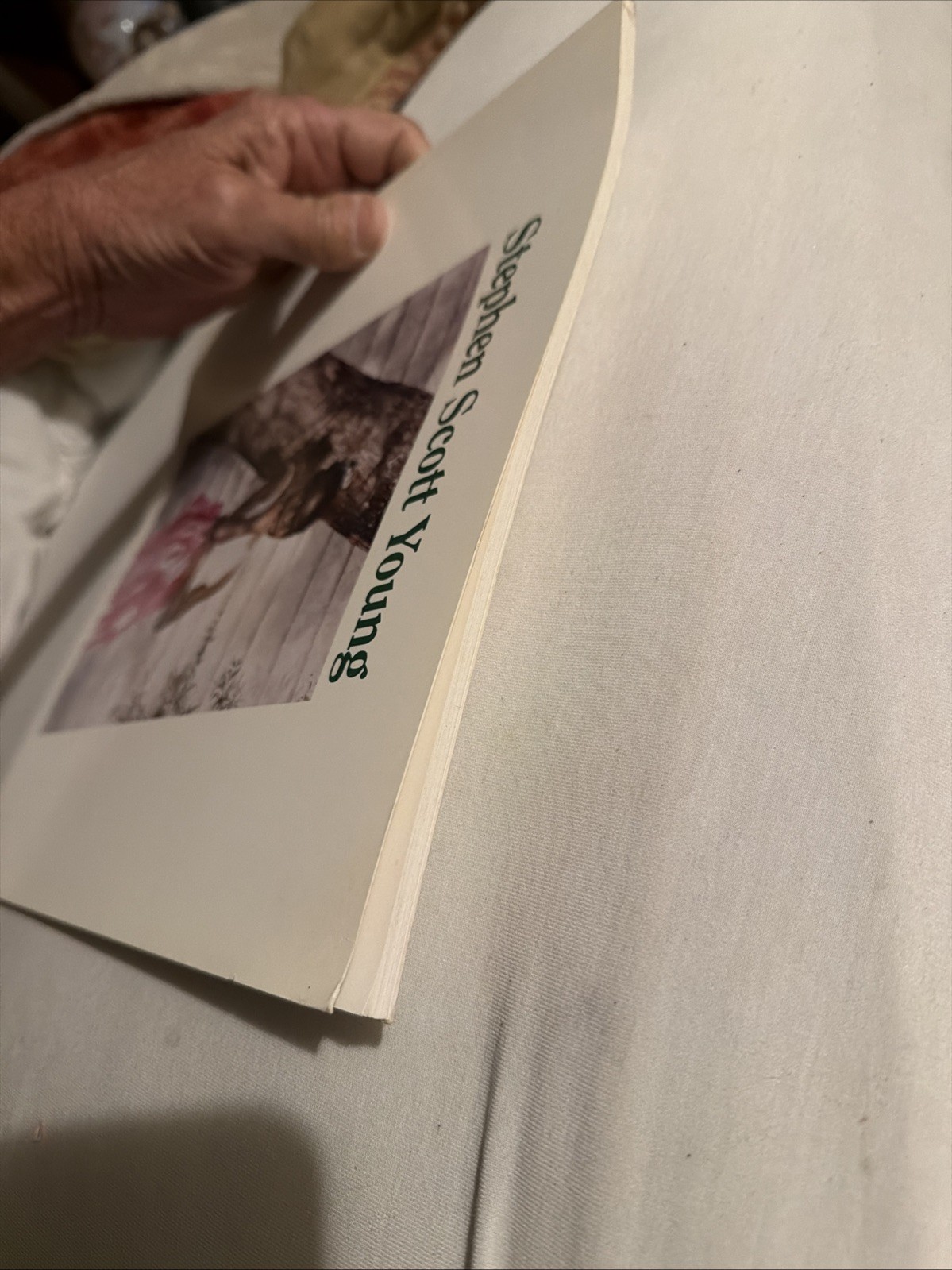 Stephen Scott Young, Surovek Gallery FL Catalog, In The American Tradition, 1996