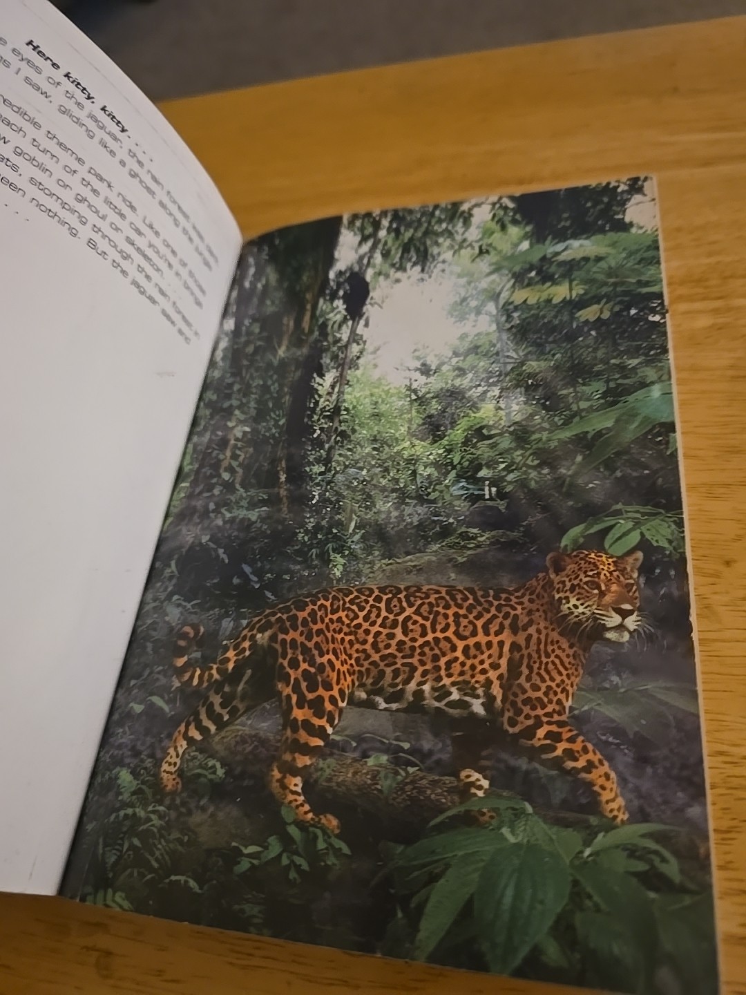 Animorphs Book #11 ‘The Forgotten’ by K.A. Applegate