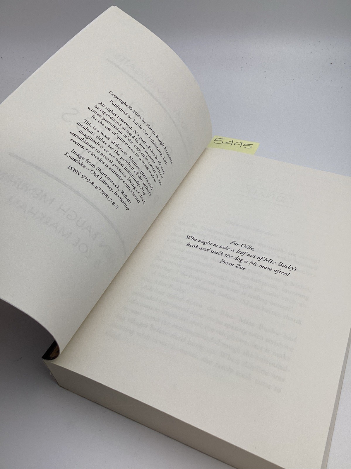 Death Of A Penniless Poet Miss Busby Investigates Karen Baugh Menuhin Markham