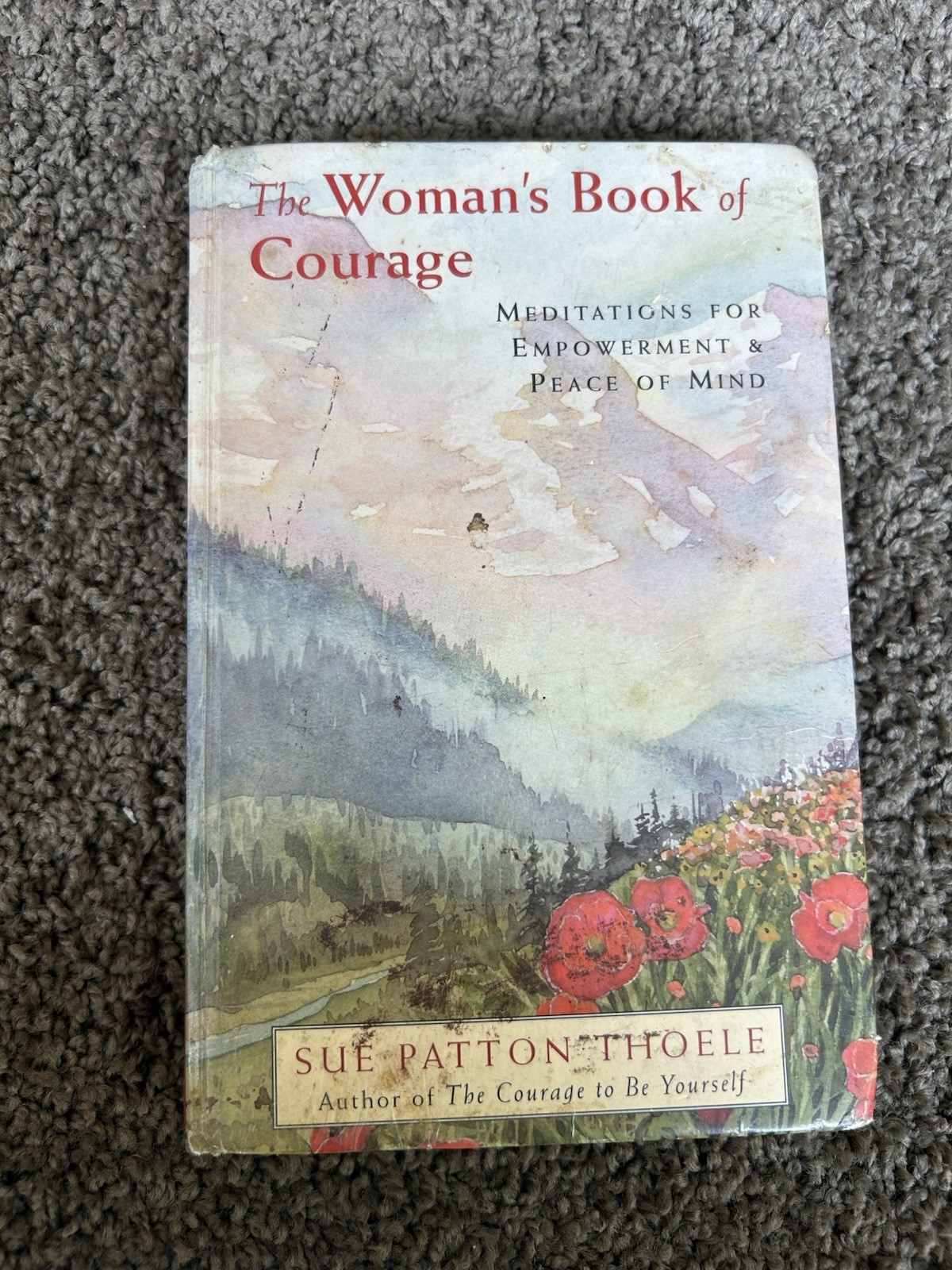 Mango Media Woman’s Book of Courage Sue Patton Thoele 1996 Trade Paperback