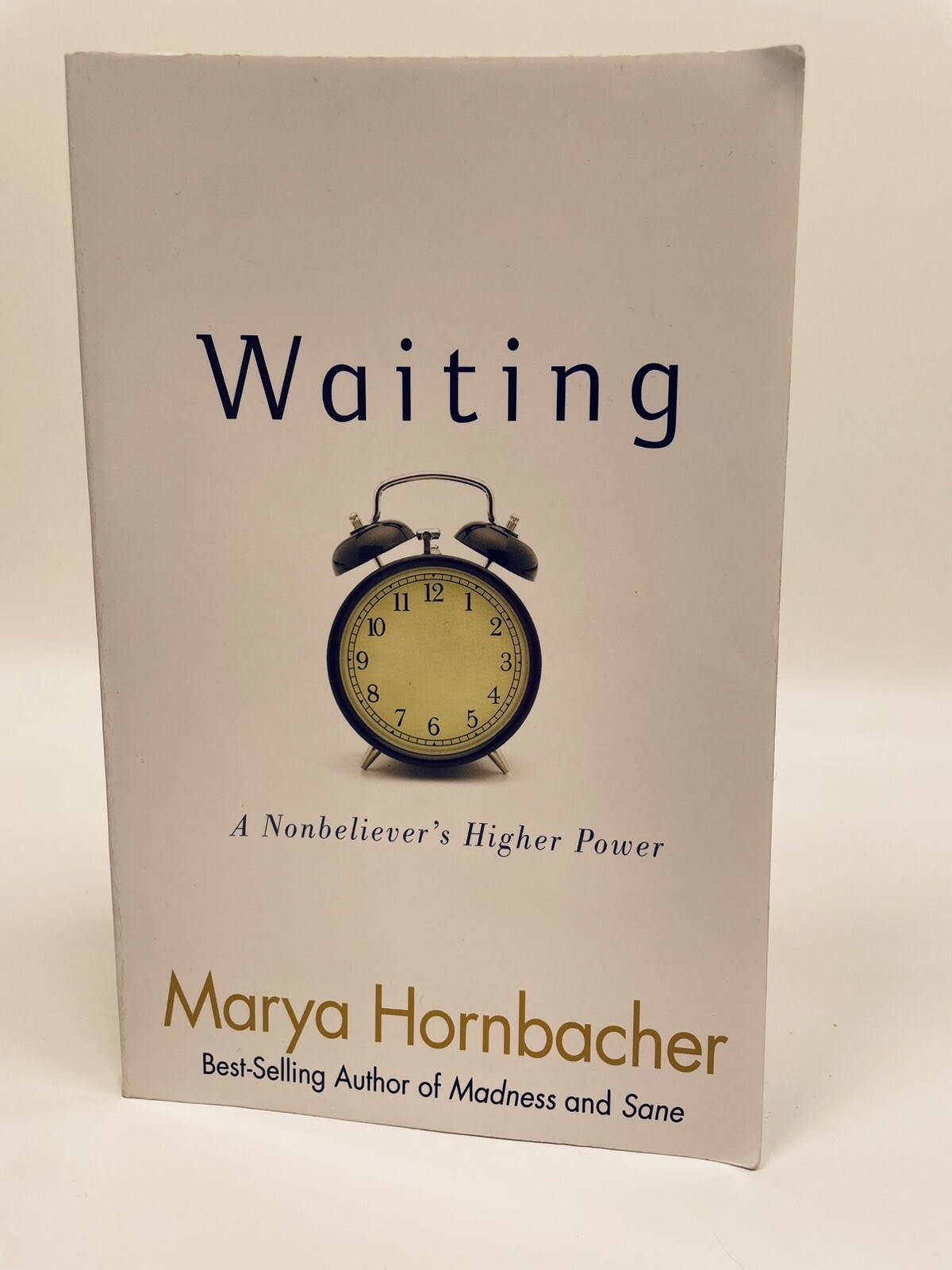 Waiting: A Nonbeliever’s Higher Power/ Marya Hornbacher/ 12 Step Recover