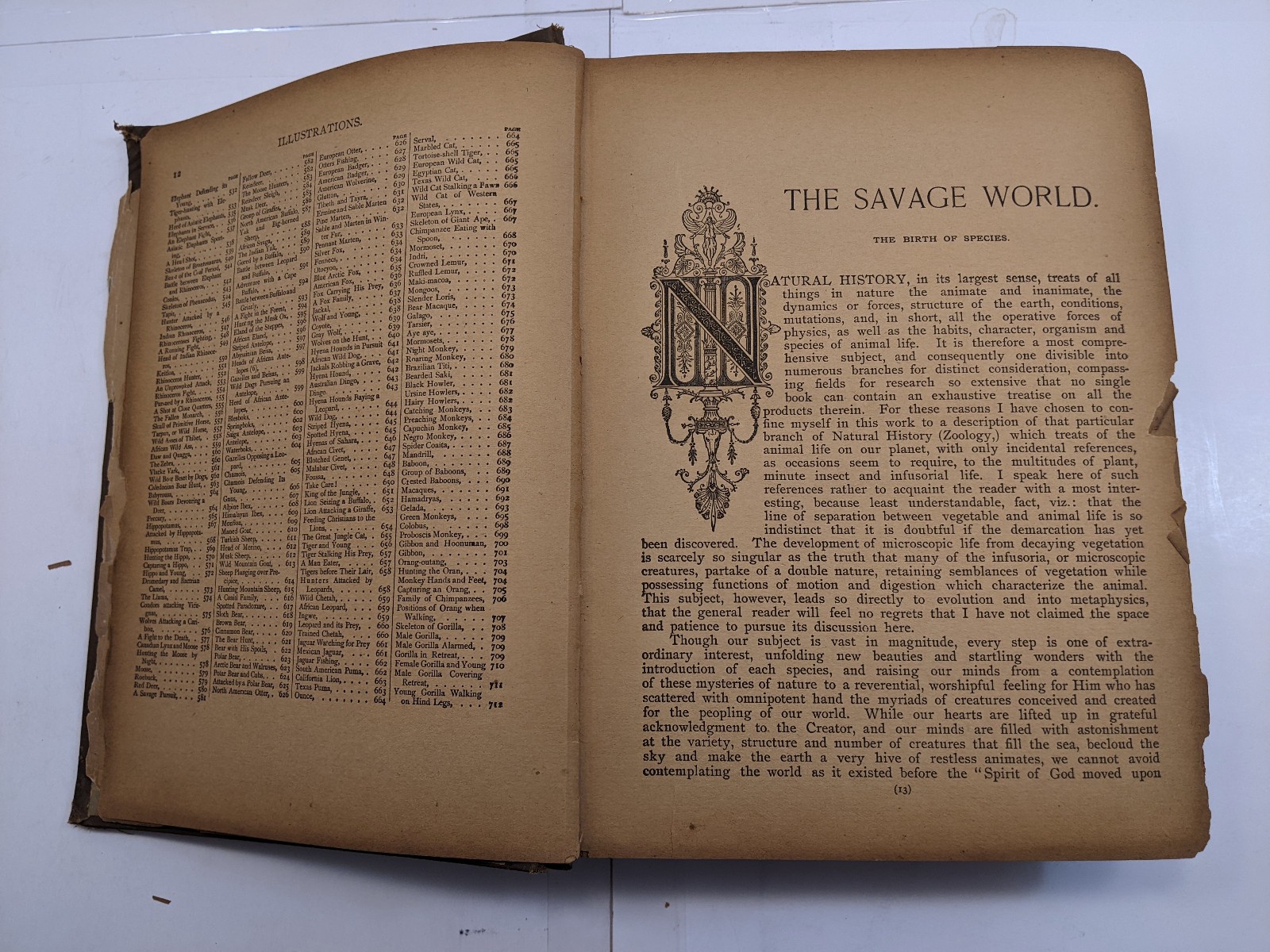 The Savage World A Complete Natural History J.W. Buel (1891, HC) 1st Eds Book