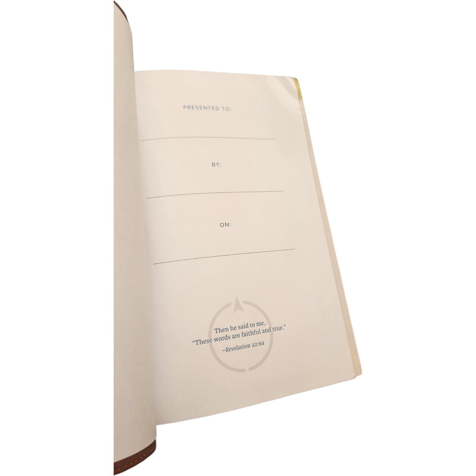 Holman CSB Rainbow Study Bible Brown LeatherTouch Christian Standard Bible
