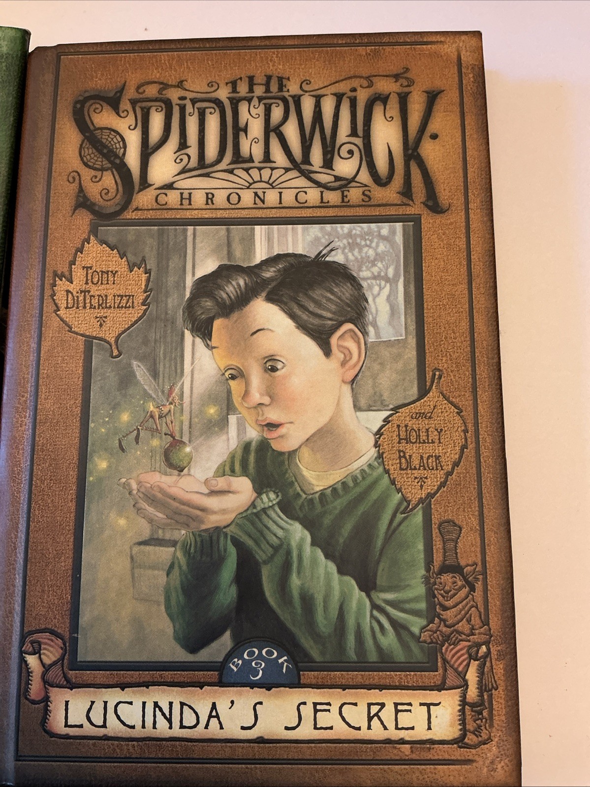 The Spiderwick Chronicles Series All 4 Books in Hardcover Box Lot Set