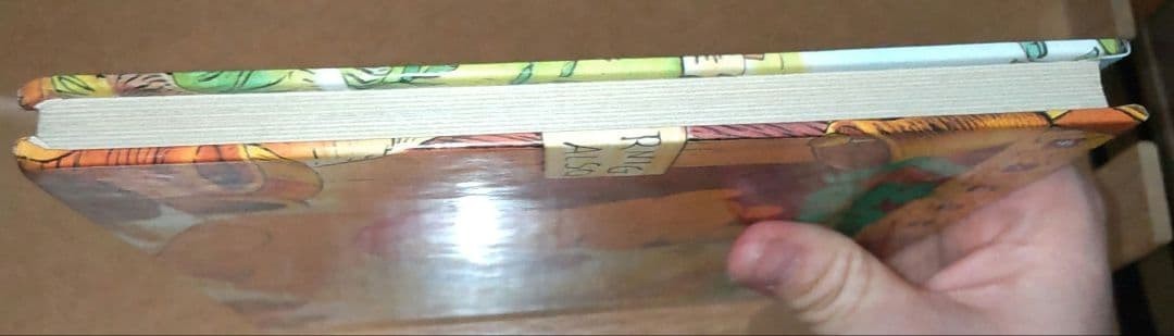 Disney Animeland Winnie the Pooh Picture Book Collectible First Edtion Used