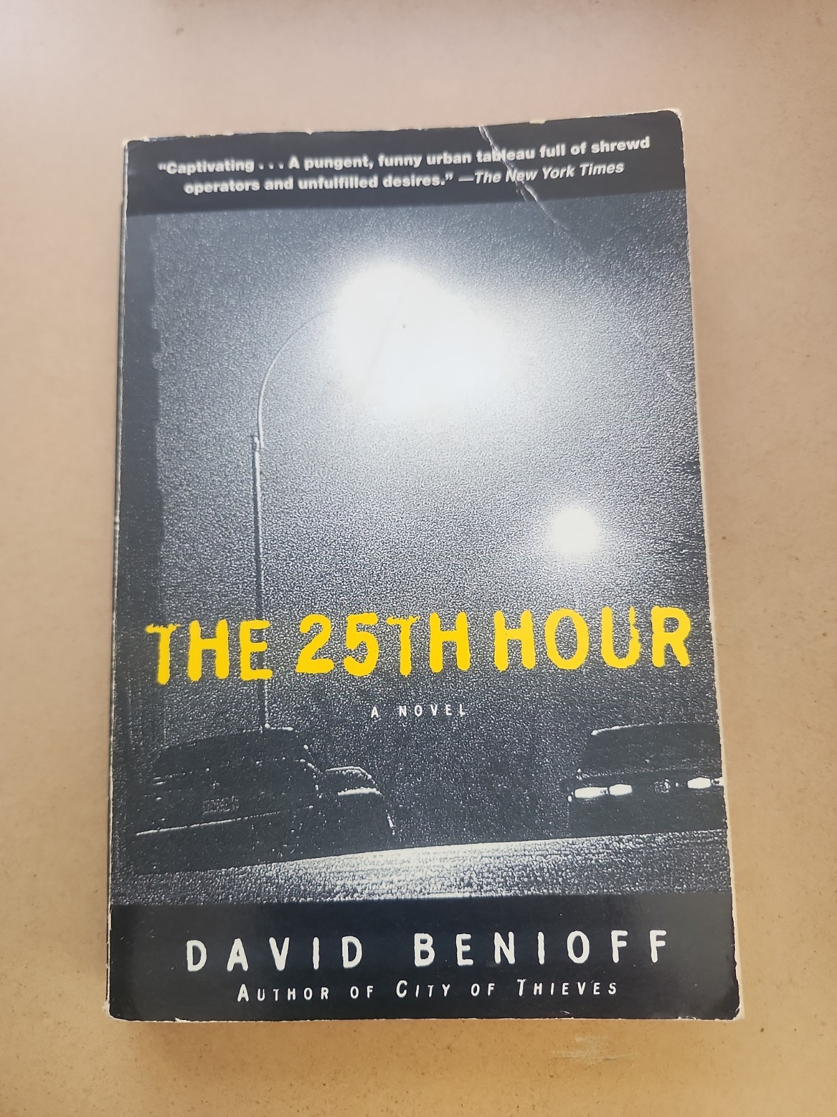 The 25th Hour A Novel by David Benioff 2002 Trade Paperback