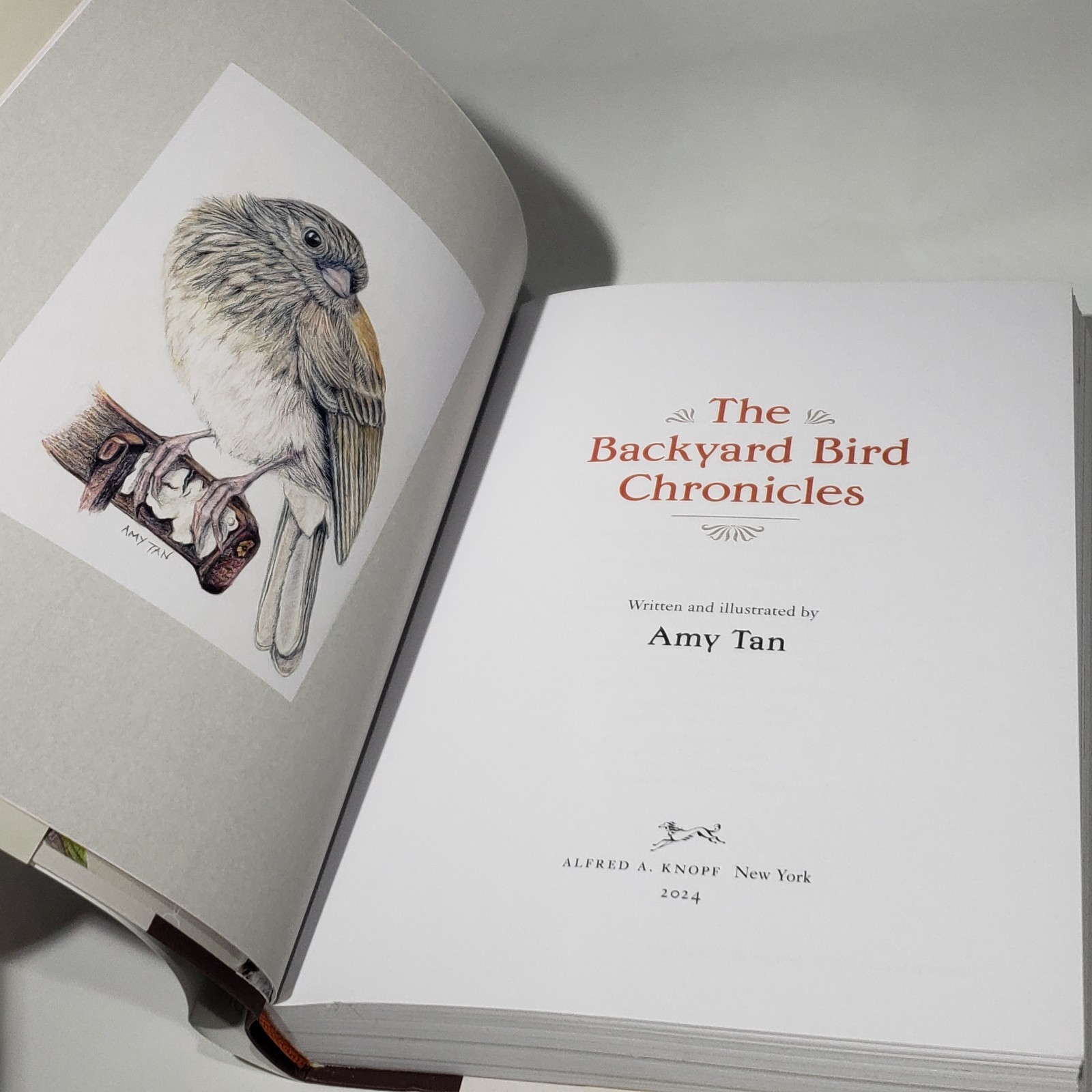 The Backyard Bird Chronicles Amy Tan Dust Jacket