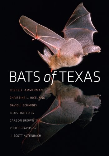 Bats of Texas (Vol. 43) (W. L. Moody Jr. Natural History Series) by Ammerman
