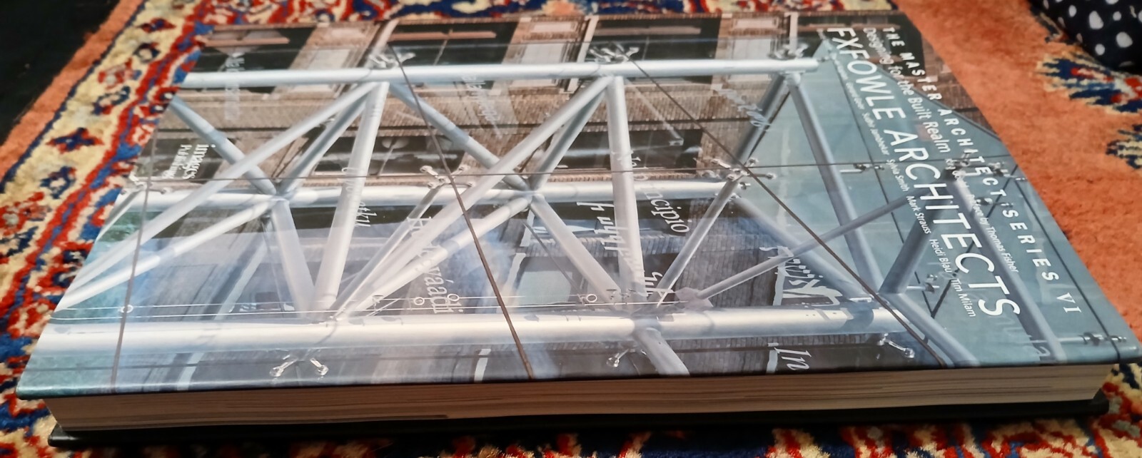 Fox & Fowl Architects, PC: The Master Architects Series by Kira Gould, excellent