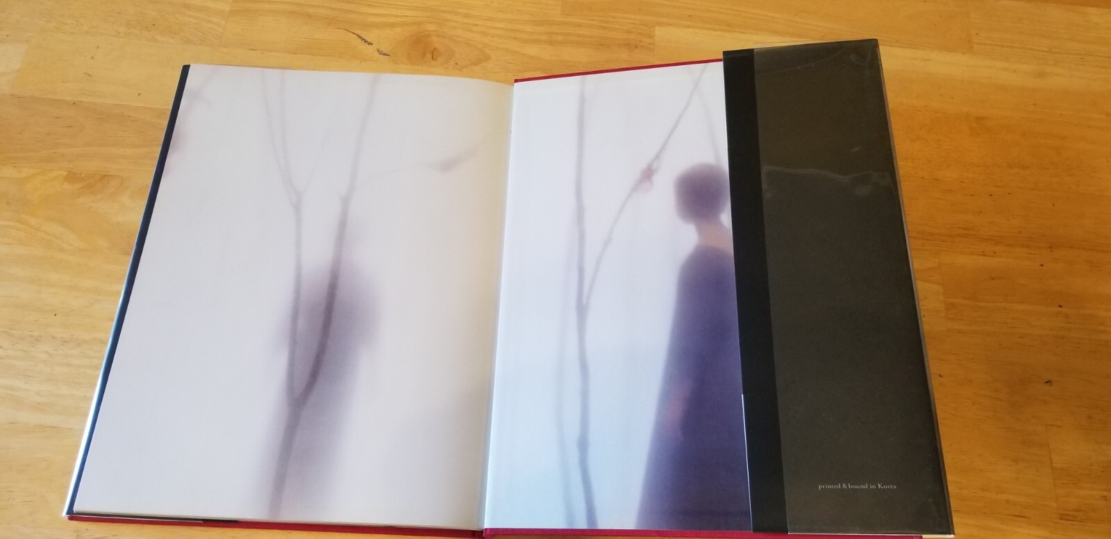 Robert & Shana ParkeHarrison COUNTERPOINT Hardback Twin Palms Publishers 2008