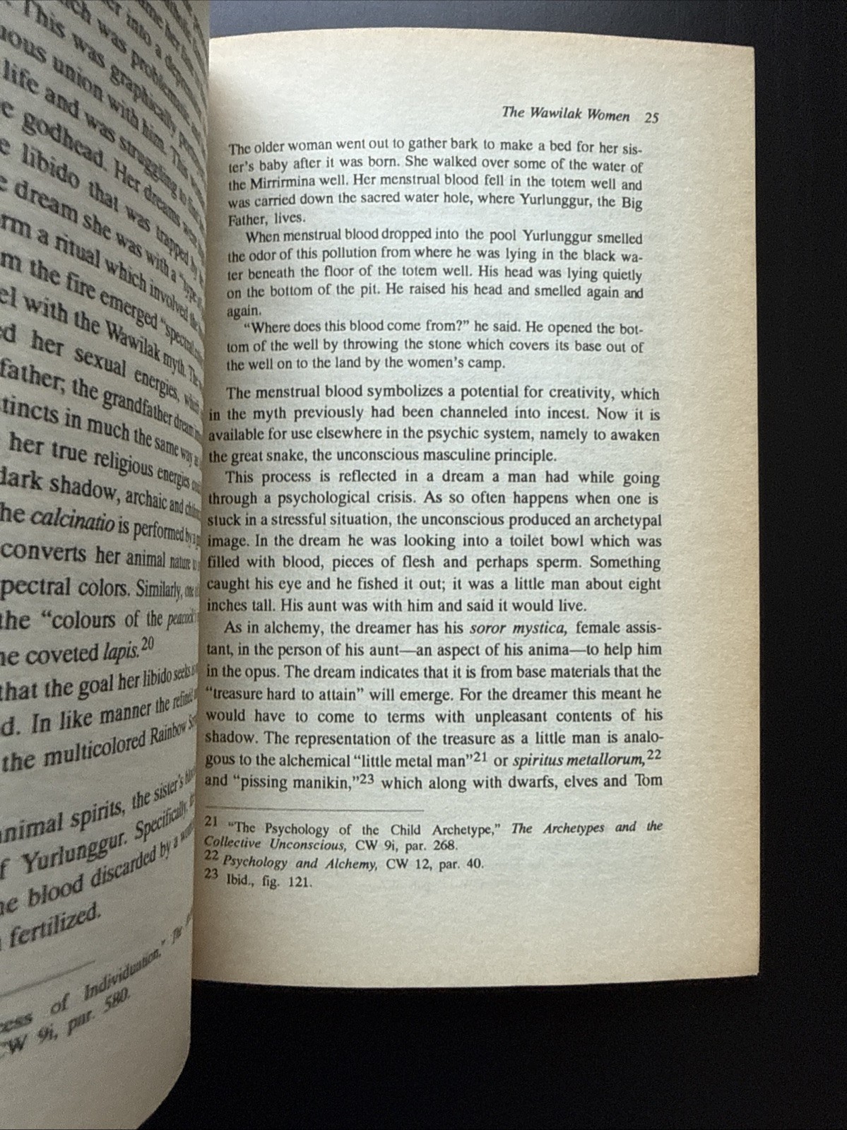 The Rainbow Serpent (1990) By. R. Gardner Studies in Jungian Psychology PB G