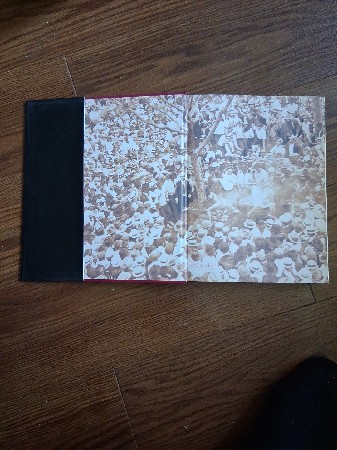 Without Sanctuary: Lynching Photography In America by James Allen, (2003). ÷