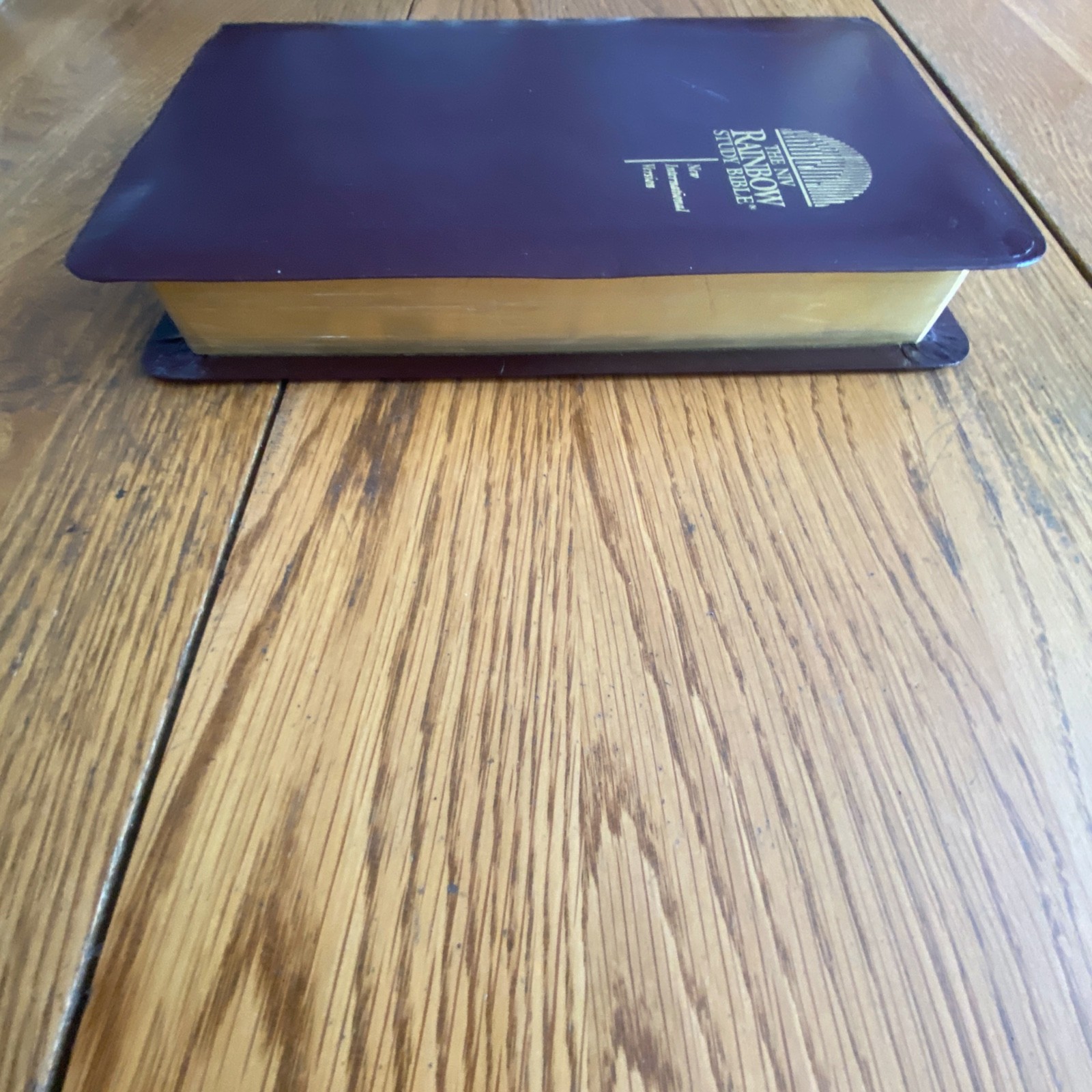 The NIV Rainbow Study Bible Bold Line Edition Burgundy