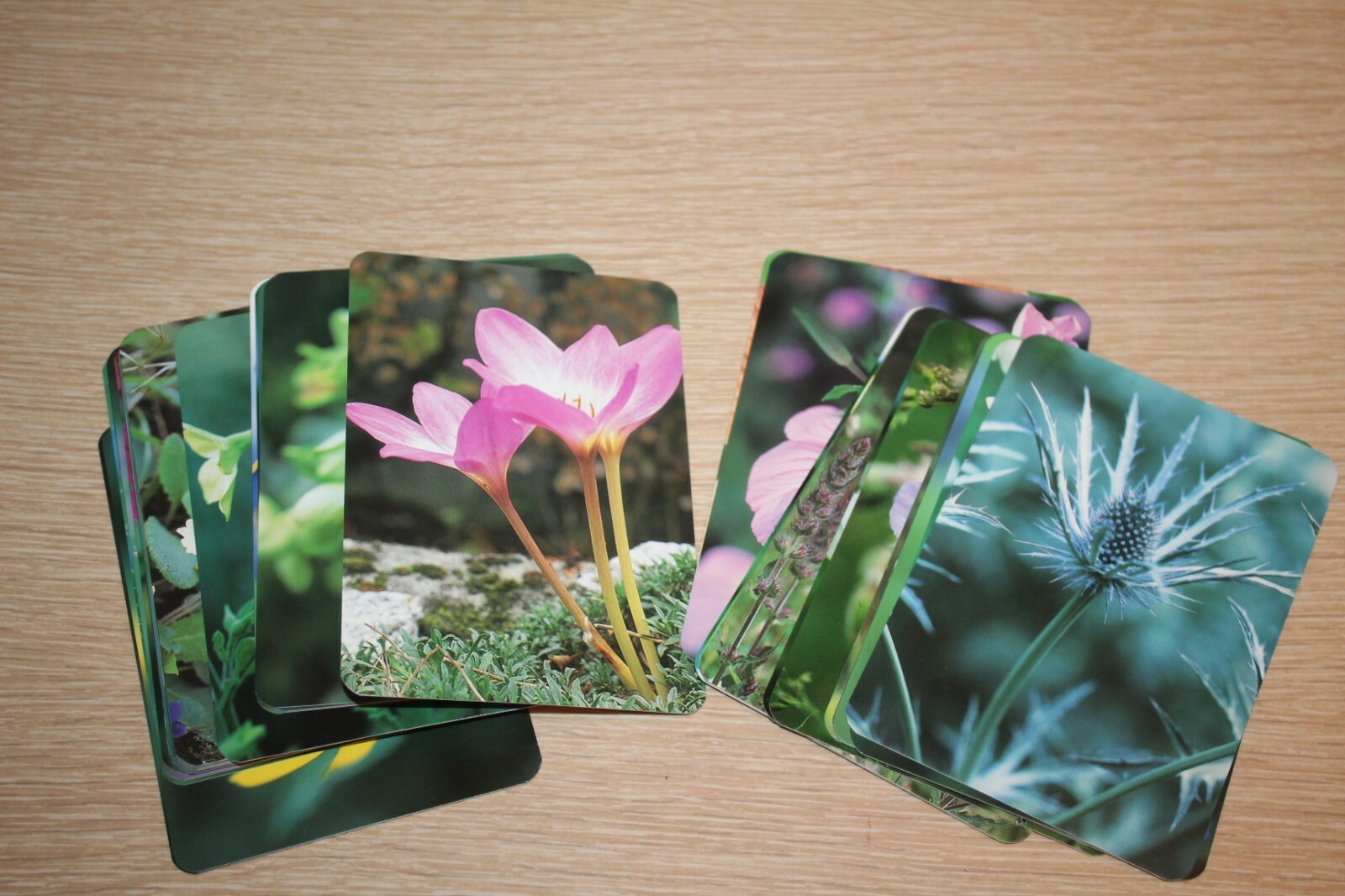 Flower Messages by Melanie Eclare (2005, Hardcover/Cards,Flash Cards) COMPLETE
