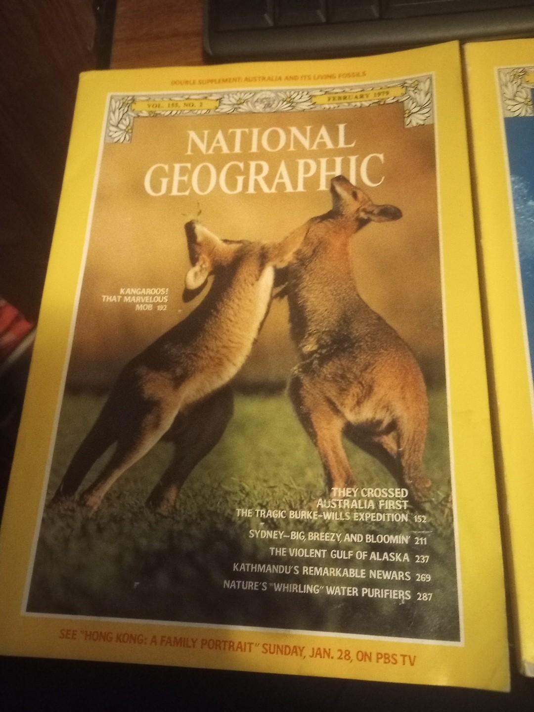 National Geographic Magazines 1976- 1983 You Pick The Issues 2.50-4.00