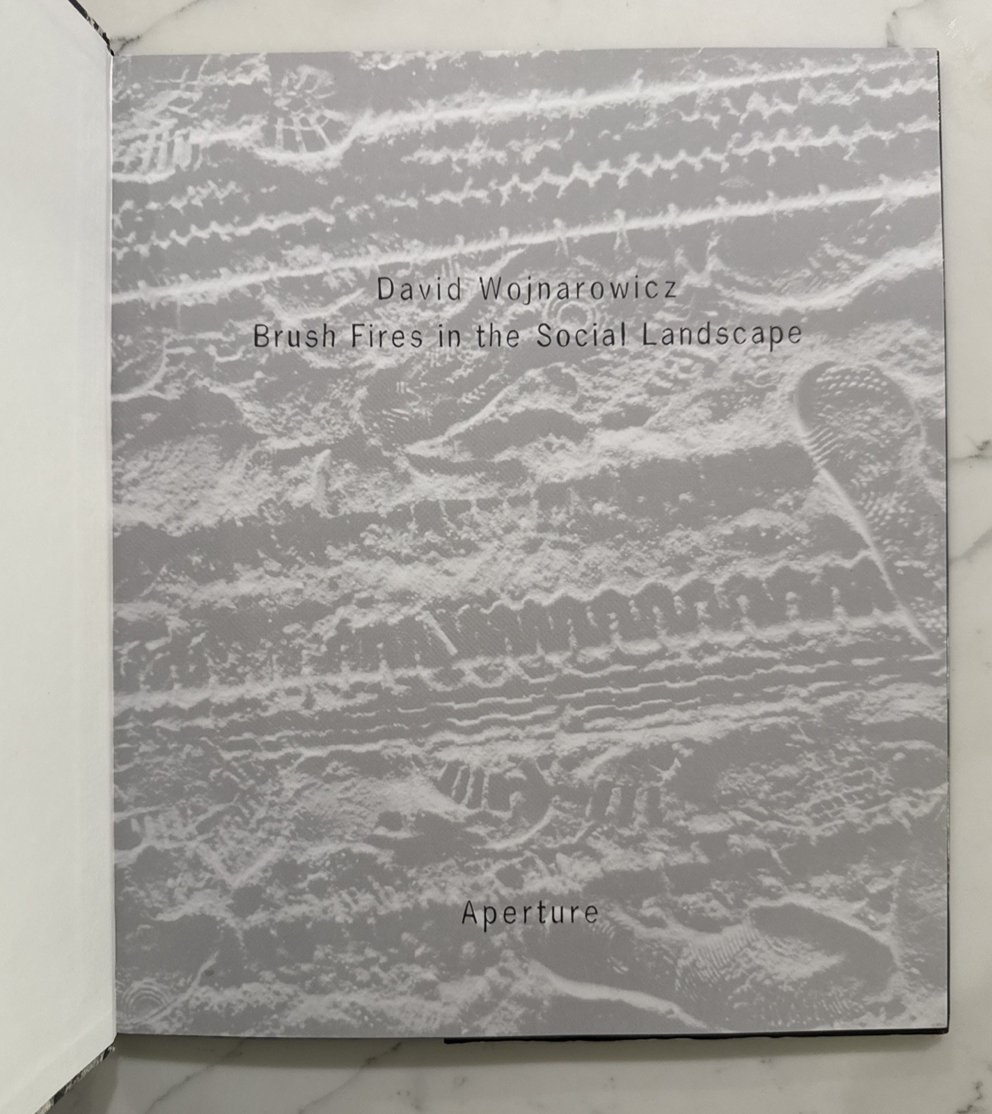 David Wojnarowicz : Brushfires in the Social Landscape (Hardcover, 1st/1st 2002)